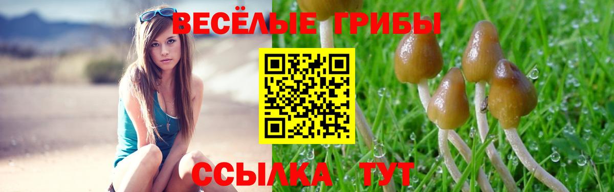 цена   Вход с VPN  Майский  Псилоцибиновые грибы Magic Shrooms 